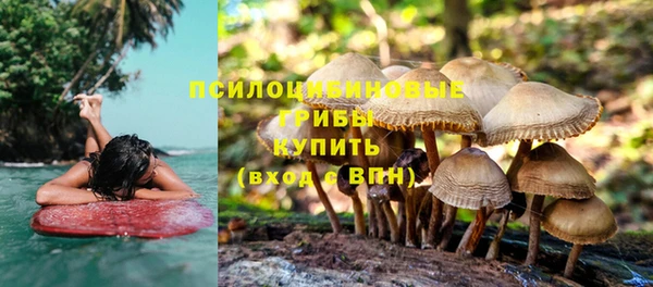 молекула духа Алзамай