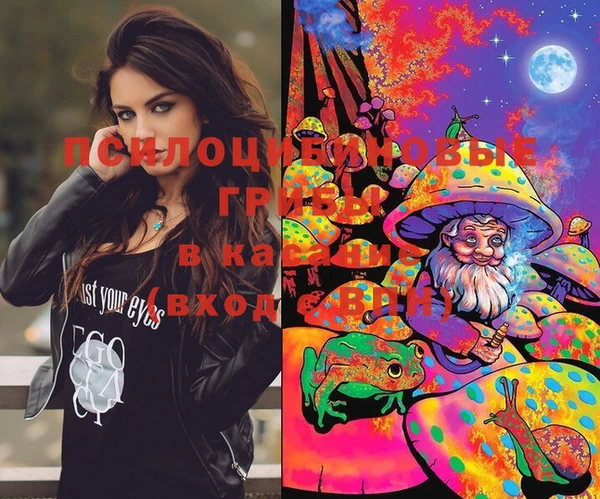 молекула духа Алзамай